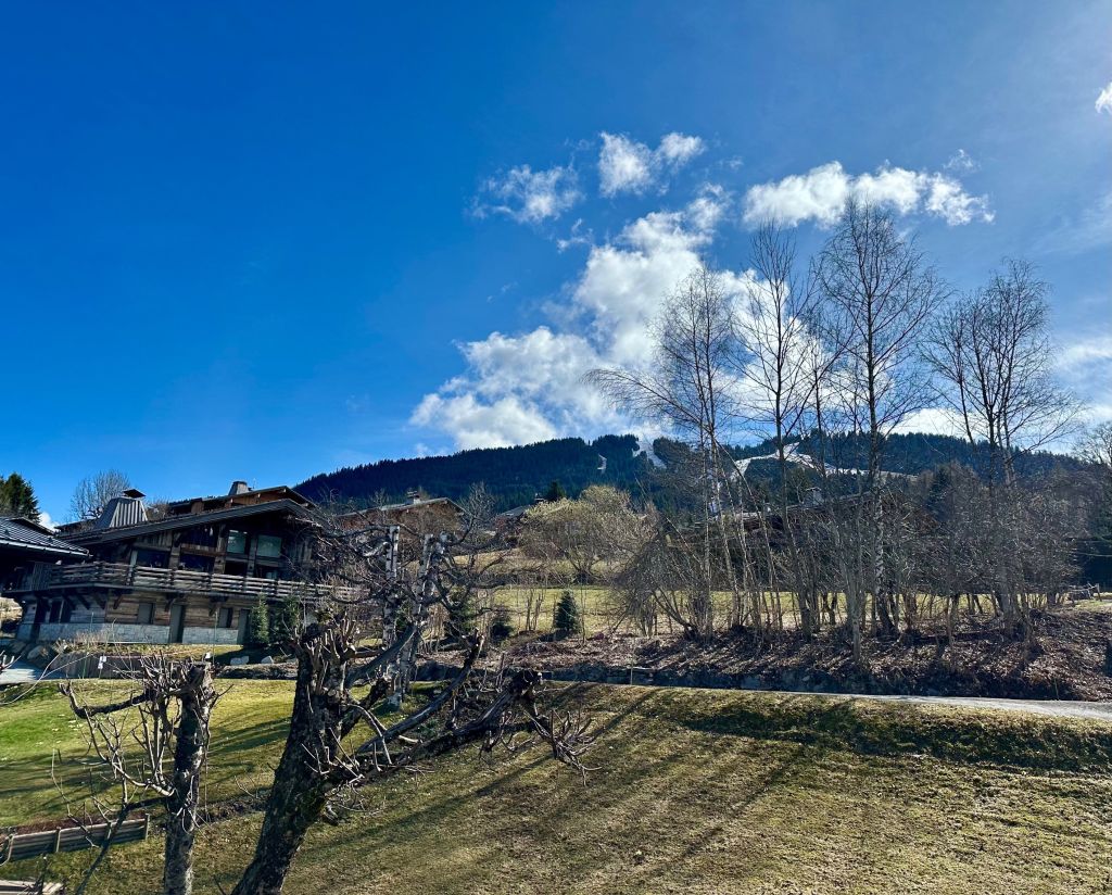 apartment 5 rooms for sale on MEGEVE (74120)